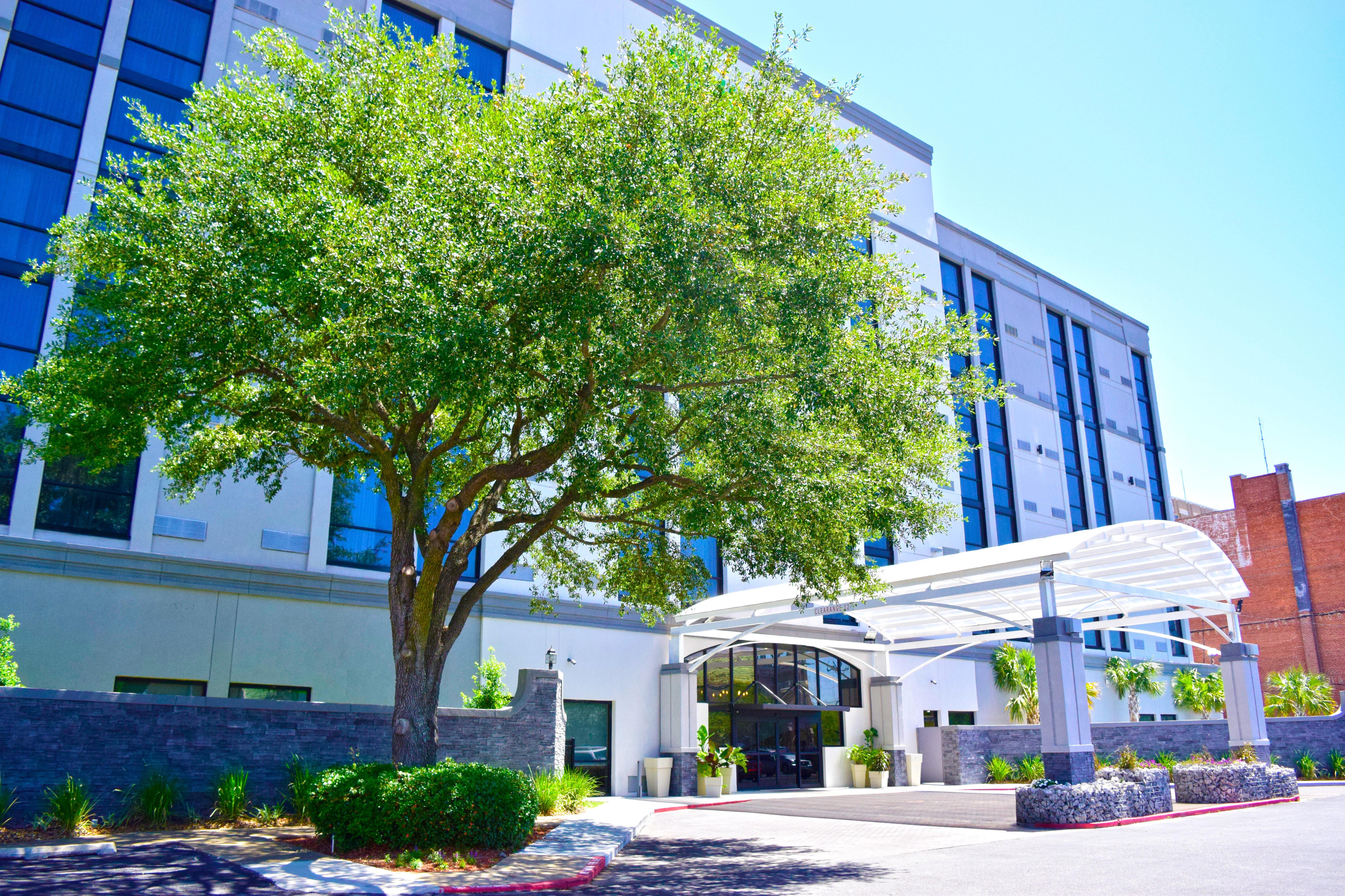Holiday Inn Alexandria - Downtown By Ihg Buitenkant foto